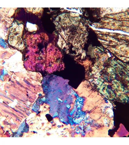 MAGUS Pol D850 Polarizing Digital Microscope