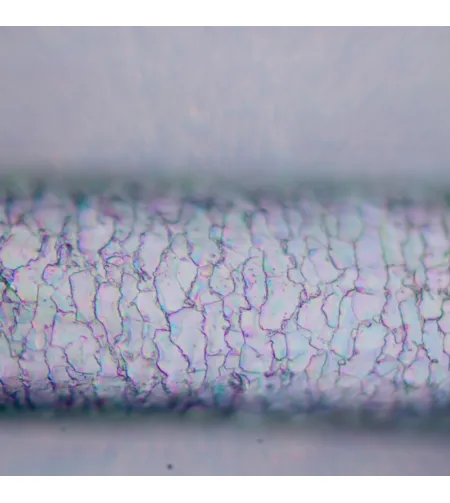 MAGUS Pol D850 Polarizing Digital Microscope