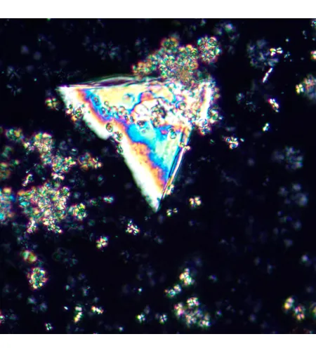 MAGUS Pol D850 LCD poliarizuojantis skaitmeninis mikroskopas