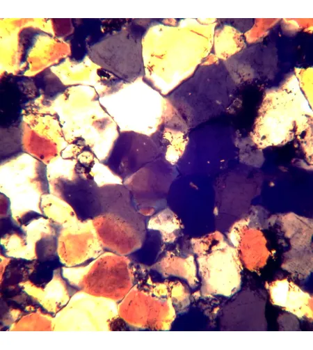 MAGUS Pol D850 LCD poliarizuojantis skaitmeninis mikroskopas