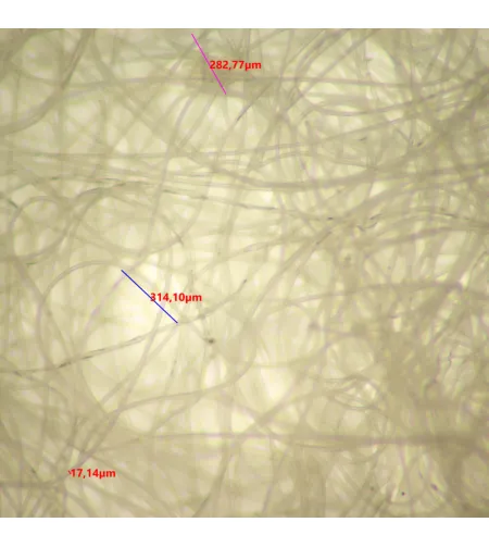 MAGUS Stereo D9T LCD skaitmeninis stereomikroskopas