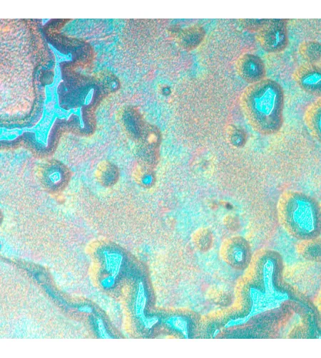 MAGUS Metal V790 DIC Metallurgical Inverted Microscope