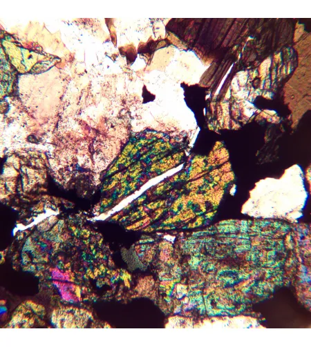 MAGUS Pol 890 Polarizing Microscope