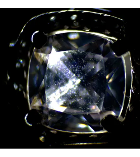 MAGUS Stereo A6 stereomikroskoop