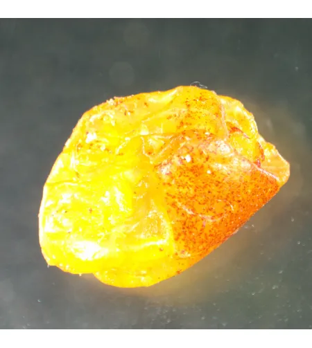 MAGUS Stereo A8 Stereomicroscope