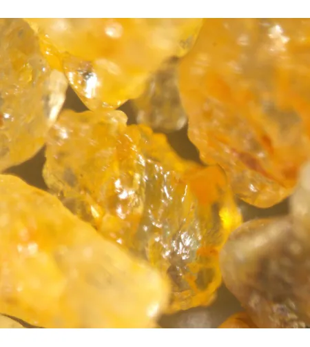 Stereoskopinis mikroskopas MAGUS Stereo A18T