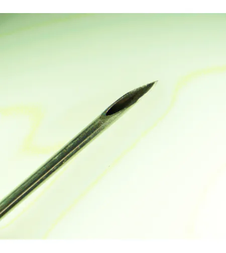 Stereoskoopmikroskoop MAGUS Stereo 8B