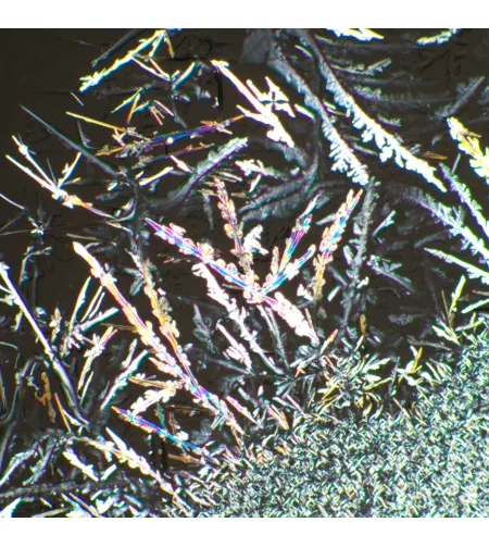 MAGUS SPD3 poliarizatoriaus / analizatoriaus rinkinys