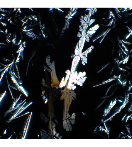 MAGUS SPD3 poliarizatoriaus / analizatoriaus rinkinys