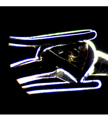 MAGUS Stereo D7T LCD BASE digitālais stereomikroskops