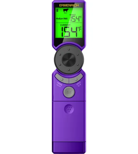 Ermenrich BBQ GT10 lihatermomeeter