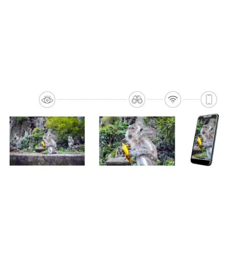 Цифровой фотобинокль Levenhuk Kelvin Snap ED 8x42