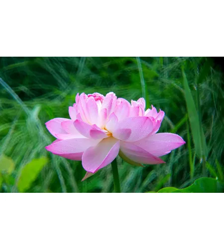 Фототелескоп Levenhuk Kelvin MAK80 AZ