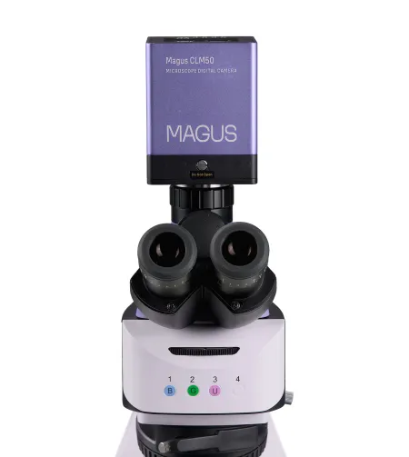 MAGUS Lum D460L Fluorescence Digital Microscope