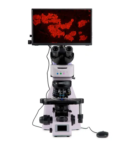 MAGUS Lum D460L LCD Fluorescence Digital Microscope