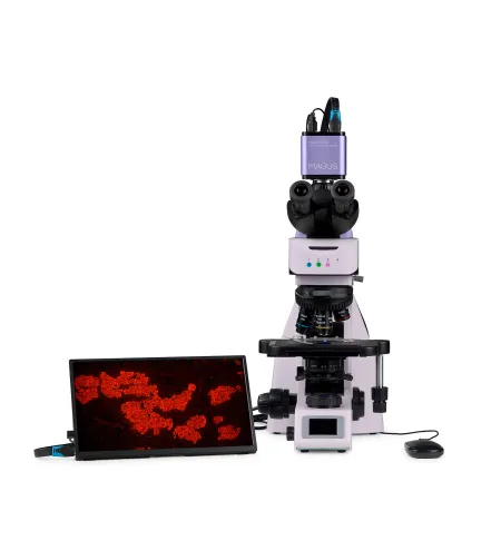 MAGUS Lum D460L LCD Fluorescence Digital Microscope