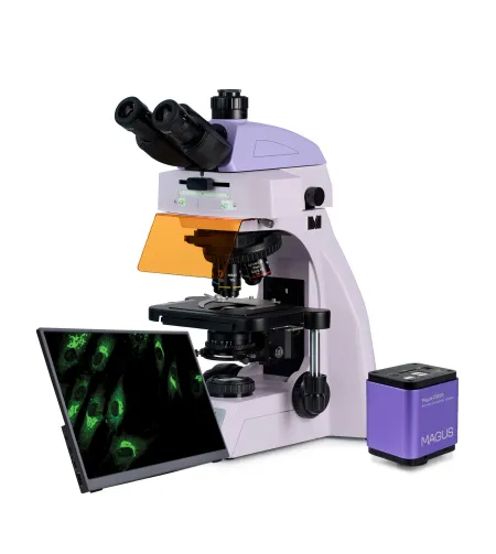 MAGUS Lum D450L LCD Fluorescence Digital Microscope