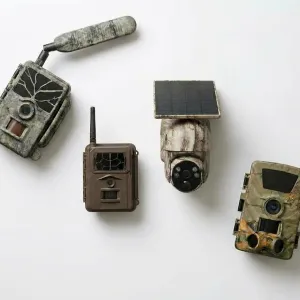 Forest/Hunting Cameras