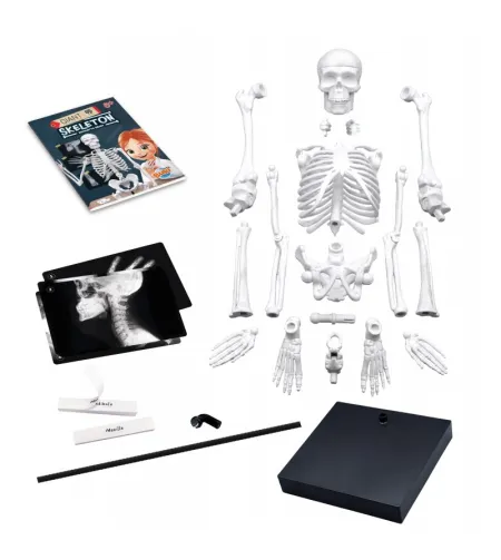 Buki Скелет 85 см