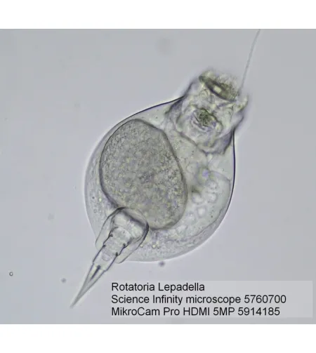 BRESSER MikroCam PRO HDMI kamera 5MP