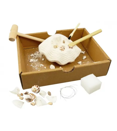 Dig Kit, Buki, Shells