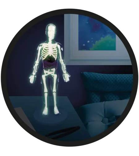 Experiment kit, Buki, Human Body