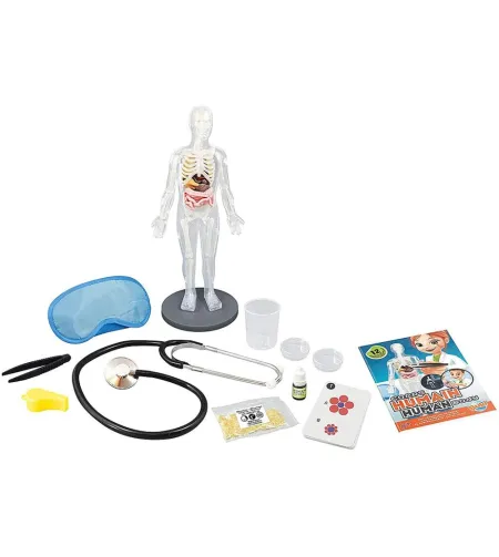 Experiment kit, Buki, Human Body