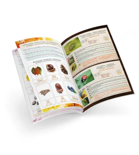 Буки Террариум