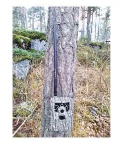 Bezvadu (4G, 3G, 2G) takas kameras barošanas masta antena 39 cm NITEforce