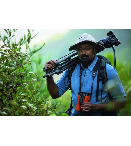 Swarovski Binoculars NL PURE 8X32 GREEN-BLACK