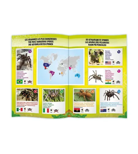 Tarentula R/C, Buki, koos kontrolleriga