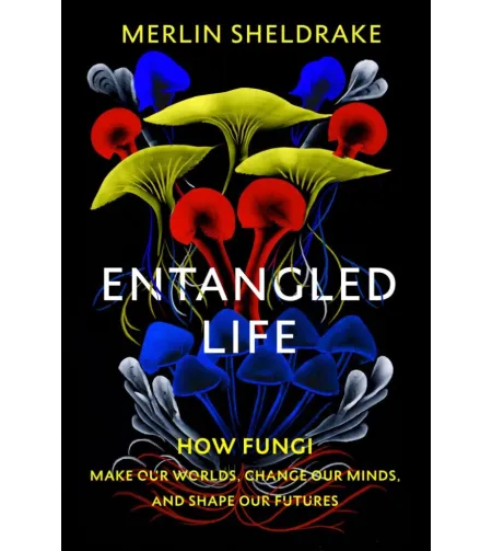 (ENG)Susipainiojęs gyvenimas: kaip grybai kuria mūsų pasaulius, keičia mūsų mintis