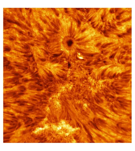 Tecnosky teleskoop AC 210/1200 Goliath OTA