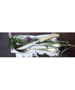 NAZIS OPINEL BLISTER Nerūsējošais tērauds NR 10