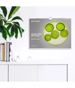BRESSER Kalendārs 2022 Mikroskopija