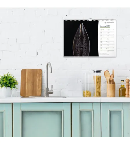 BRESSER Kalendārs 2022 Mikroskopija