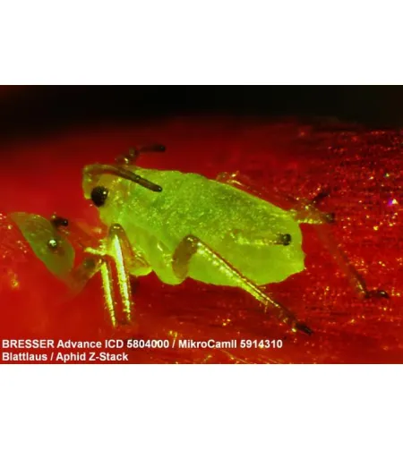 Stereomikroskoobi Bresser ICD 10X-160X suum