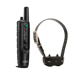 Mājdzīvnieku dresūra