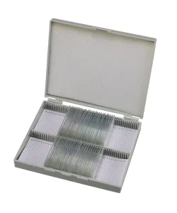 Подготовленные слайды Bresser: гистология