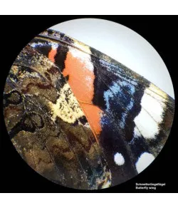 BRESSER Analyth STR 10x - 40x stereo microscope