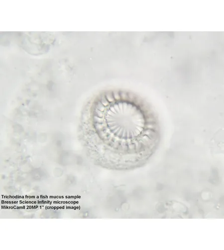 Mikroskopas Bresser Science Infinity TRINOKLINIS