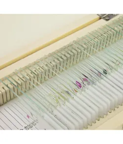 Подготовленный набор слайдов, 40 слайдов в деревянном ящике, Omegon