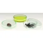 Windaus 100mm glass Petri dish with lid