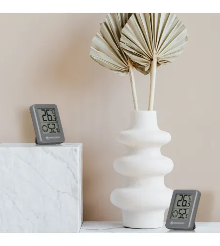 BRESSER Temeo Hygro indikators 6 detaļu komplekts Termo-/Higrometrs pelēks