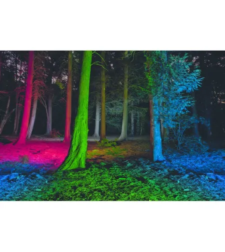 LED LENSER P7 QC torch