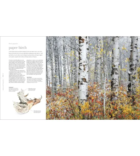 Flora: Inside the Secret World of Plants