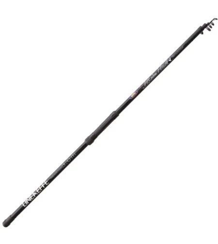 Fishing rod "Moon Walk" (3m, 60-120gr)