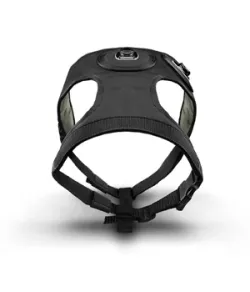 Acc, Dog Harness, Short, virb