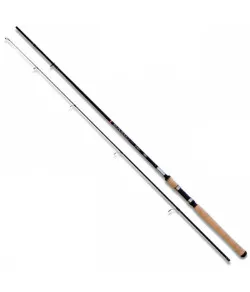 Spinning "Basic" (3m, 20-55gr)