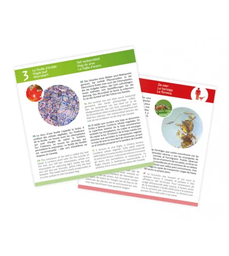 Предметные стекла для микроскопа, Buki